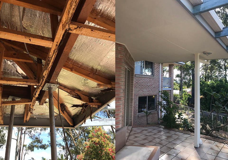 Termite Roof Damage — Home Builders in Gold Coast, QLD