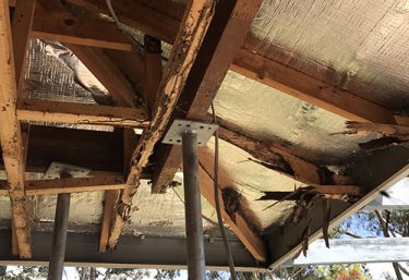 Gold Coast Termite Repairs